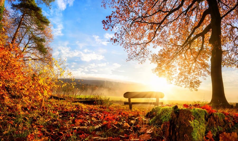 I.D.L. - In den Herbstferien ist Zeit für entspannte Testungen